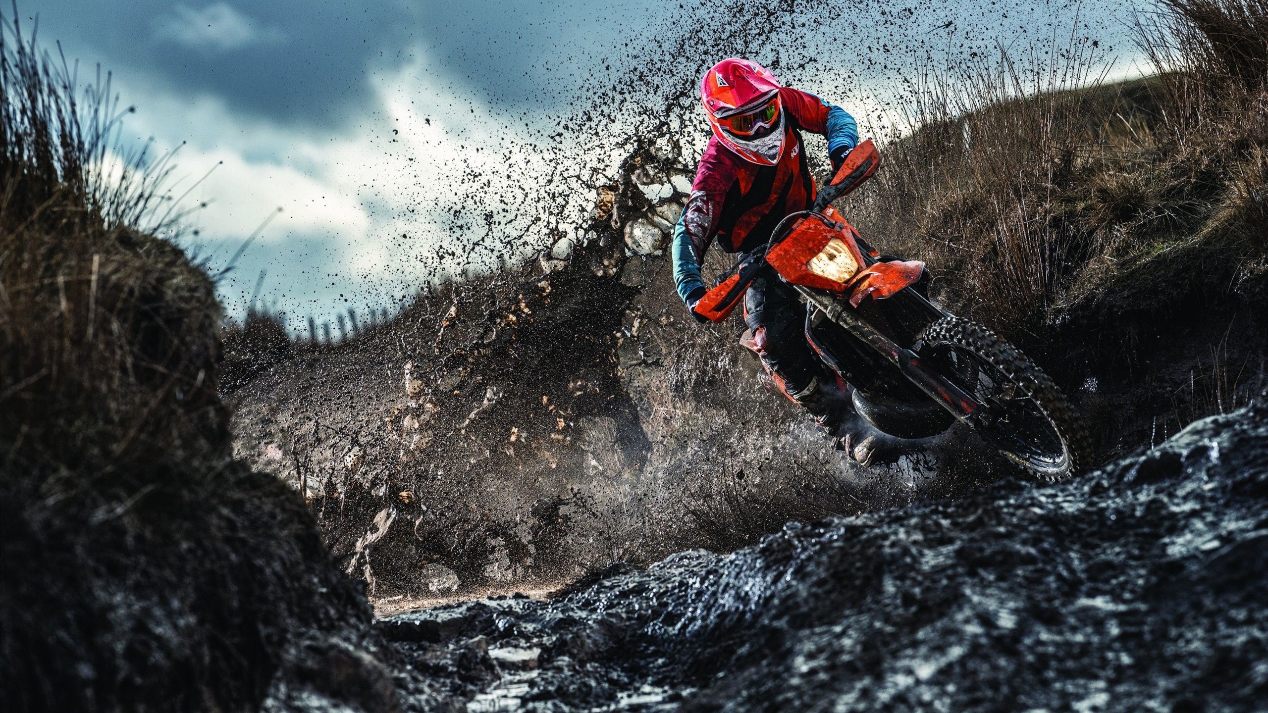 勇士逆转太阳,穆迪和库里的高效表现是关键,勇士新秀穆迪身高