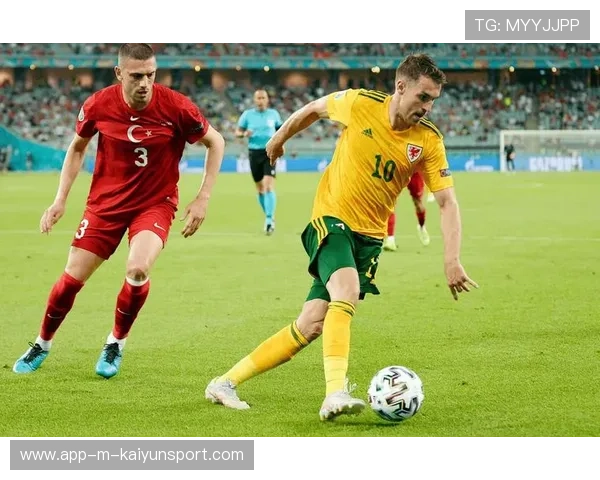 法甲赛制变化,专家解读新战术体系在比赛中的实际应用效果,法甲联赛规则介绍