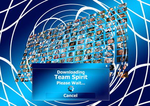 开云体育app入口-决赛MVP背后的团队协作密码,总决赛mvp奖杯叫什么