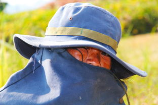 开云体育app下载-加拿大七人制橄榄球明星球员赛场表现活跃,加拿大橄榄球与美式区别